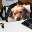 Laptop/Messenger Bag