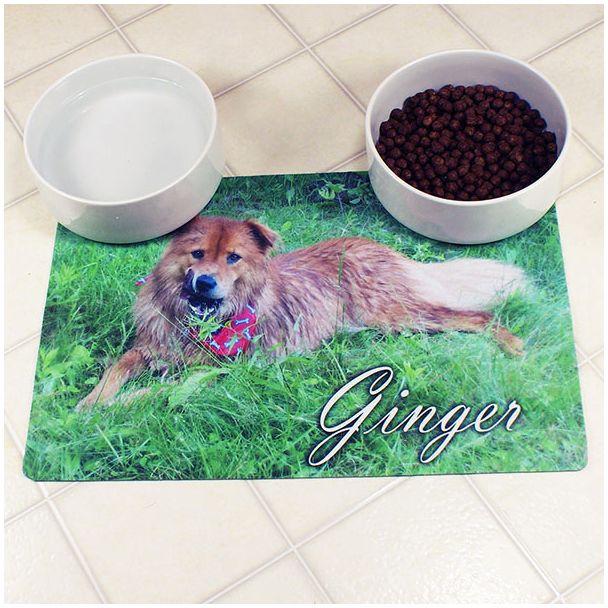 New Puppy Supplies Animal Print Pet Bowl Custom Dog Bowl Mat Animal Feather Print Personalized Pet Placemat